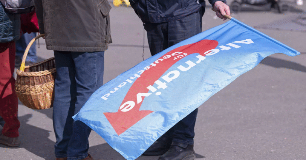 Партия АдГ набирает популярность в Германии: эксперты о шансах пророссийской партии