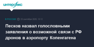 Песков: обвинения в связи РФ с дронами в Копенгагене голословны