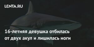 Подростковая отвага: 16-летняя девушка лишилась ноги после нападения акул в Белизе