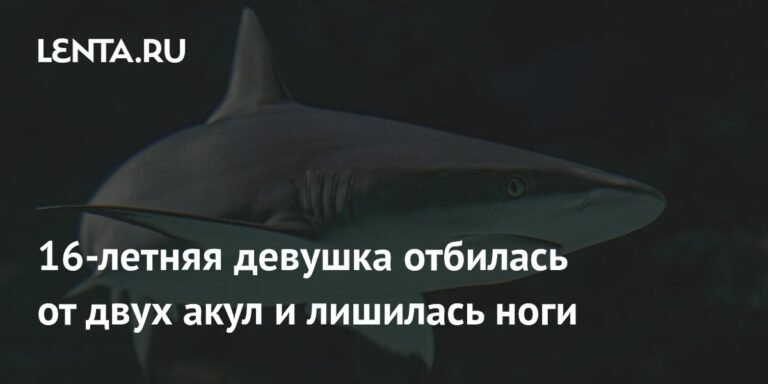 Подростковая отвага: 16-летняя девушка лишилась ноги после нападения акул в Белизе