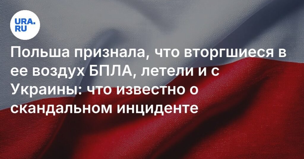 Польша подтвердила происхождение БПЛА из Украины и Белоруссии