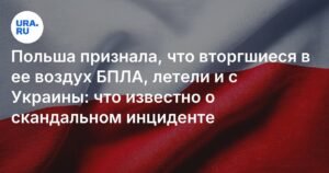 Польша подтвердила происхождение БПЛА из Украины и Белоруссии