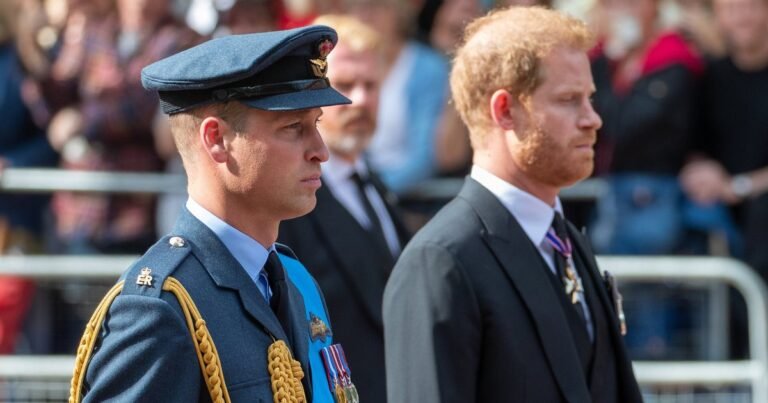 Принц Гарри и принц Уильям на пути к примирению?
