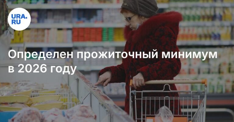 Прожиточный минимум в России на 2026 год составит 18 939 рублей