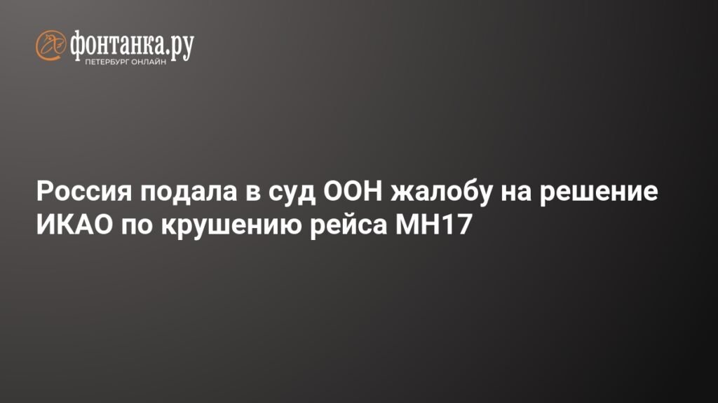 Россия обжаловала решение ИКАО по крушению рейса MH17 в Международном суде ООН