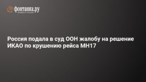 Россия обжаловала решение ИКАО по крушению рейса MH17 в Международном суде ООН