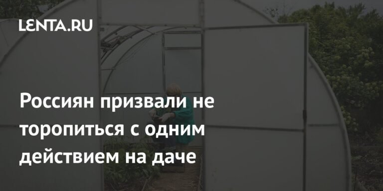 Россиян предупредили о неправильном уходе за растениями на даче