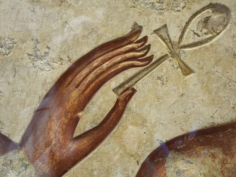 Секрет вечной молодости морских существ: открытия ученых