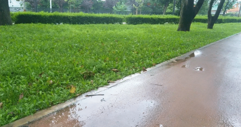 Штормовое предупреждение на Кубани: ливни и град до 10 сентября