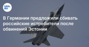 В Германии предложили сбивать российские истребители над территорией НАТО