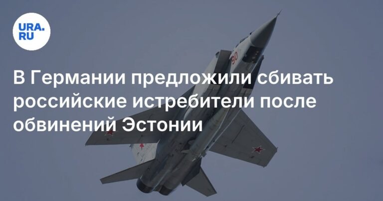В Германии предложили сбивать российские истребители над территорией НАТО