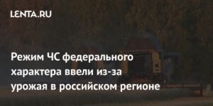 В Ростовской области введен режим ЧС из-за ущерба урожаю
