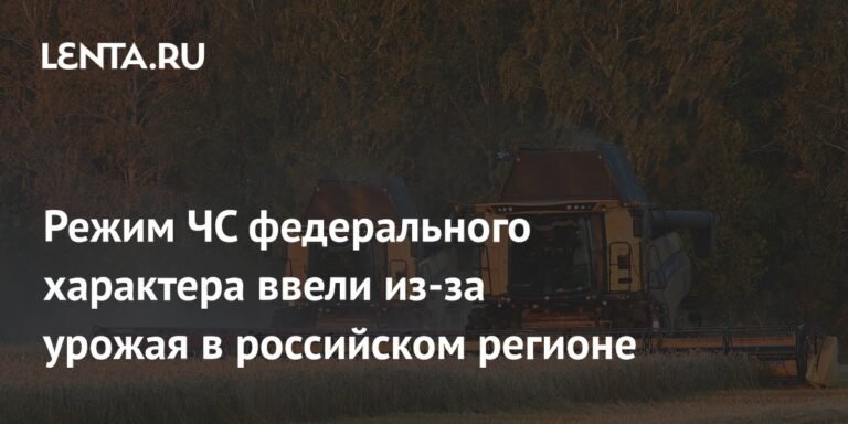В Ростовской области введен режим ЧС из-за ущерба урожаю