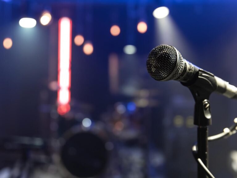 ВИА Суперстар: Собака на сцене и первое прощание