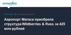Wildberries & Russ приобрела аэропорт Магас за 425 млн рублей