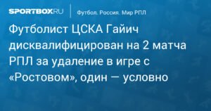 Защитник ЦСКА Милан Гайич дисквалифицирован на 2 матча РПЛ