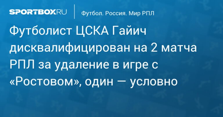 Защитник ЦСКА Милан Гайич дисквалифицирован на 2 матча РПЛ