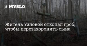 Житель Узловой выплатит 100 тысяч рублей невестке за моральный вред