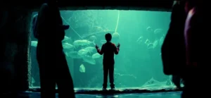 17 сериалов ноября 2025: российские и зарубежные премьеры