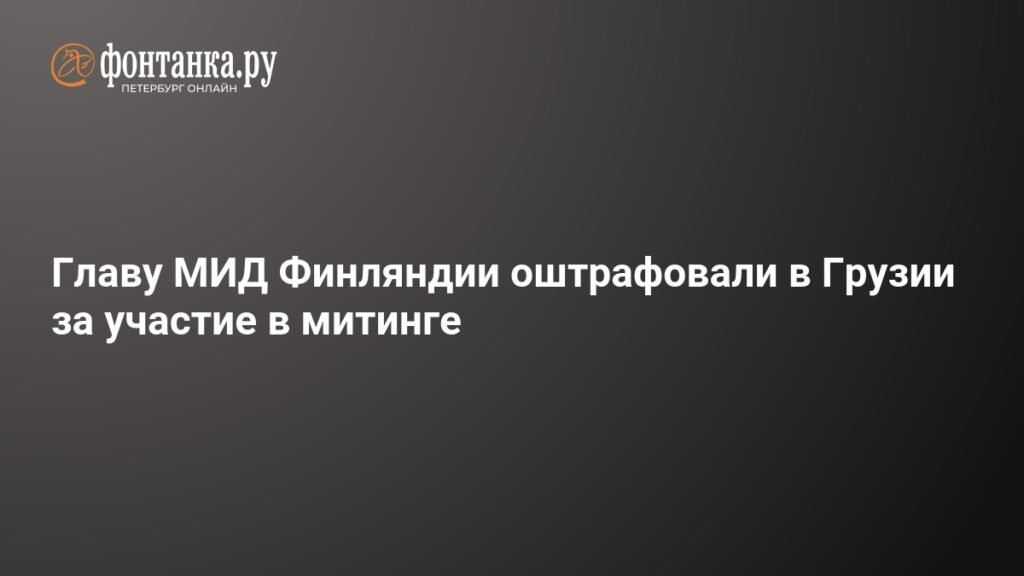 Главу МИД Финляндии оштрафовали в Грузии на $1,8 тыс. за участие в митинге
