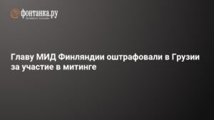 Главу МИД Финляндии оштрафовали в Грузии на $1,8 тыс. за участие в митинге