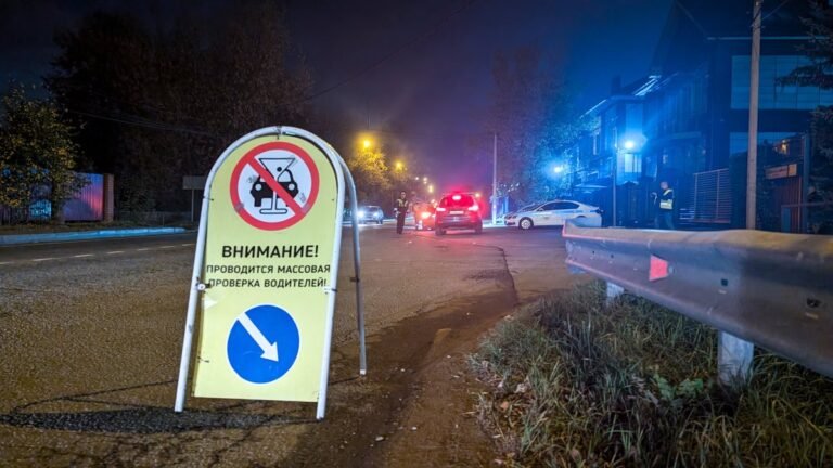 Госавтоинспекция начала массовые проверки водителей на опьянение