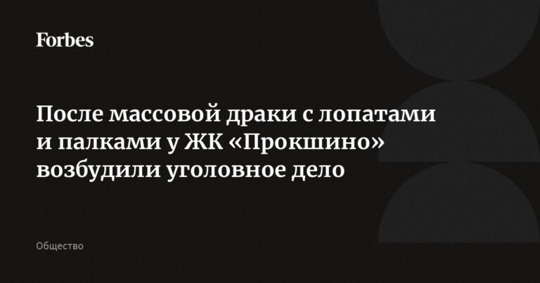 Массовая драка с лопатами и палками у ЖК «Прокшино»: возбуждено уголовное дело