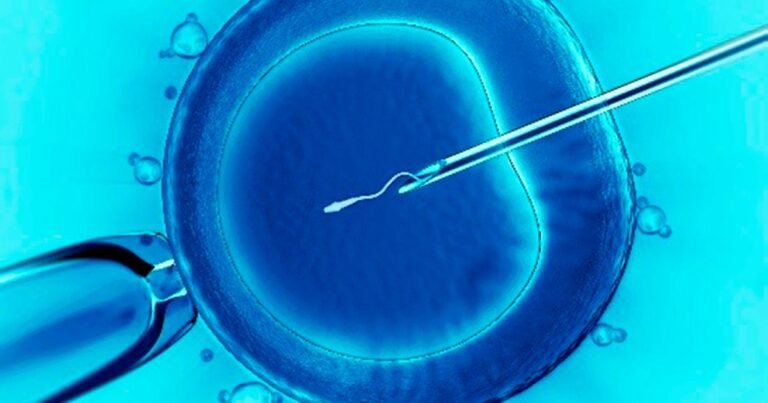 Почему при ЭКО чаще рождаются мальчики