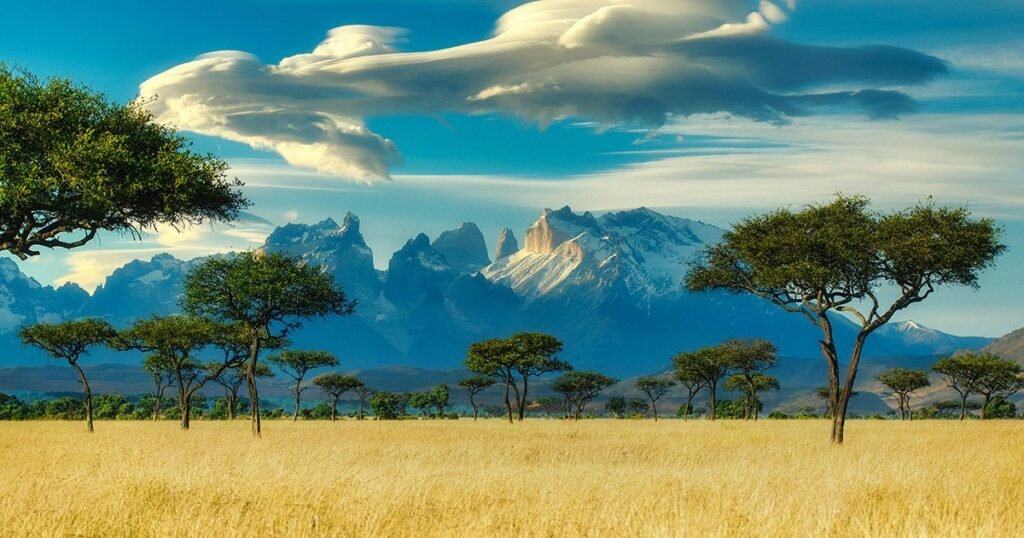 Россия намерена удвоить товарооборот со странами Африки