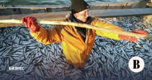 Рыбколхоз «Восток-1» на грани банкротства: последствия и перспективы