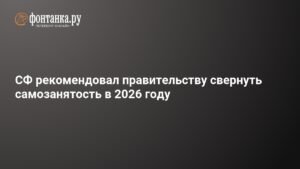 Совет Федерации предложил свернуть самозанятость в 2026 году