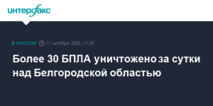 Свыше 30 БПЛА уничтожено над Белгородской областью за сутки