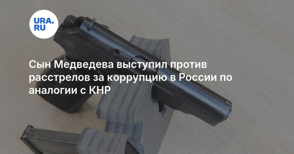 Сын Медведева: расстрелы за коррупцию не适用于 Россию