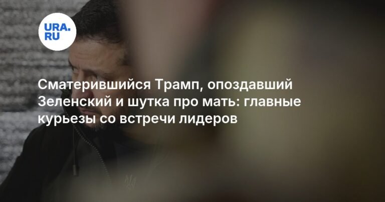 Трамп и Зеленский: курьезы встречи в Белом доме