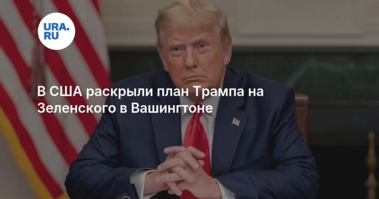 Трамп и Зеленский встретятся в Вашингтоне: детали визита