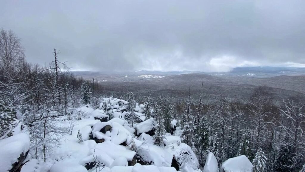 Усольцевы могли подать сигнал: эксперимент раскрывает детали