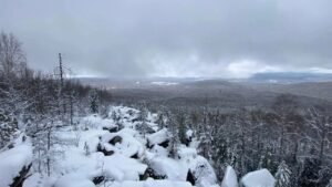 Усольцевы могли подать сигнал: эксперимент раскрывает детали