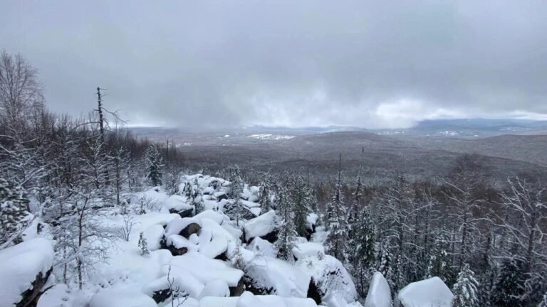 Усольцевы могли подать сигнал: эксперимент раскрывает детали