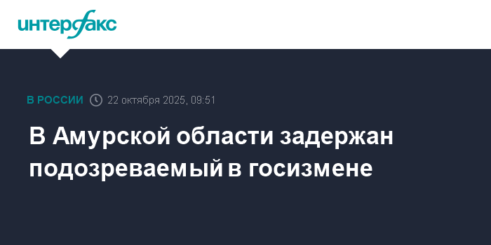 В Амурской области задержан подозреваемый в госизмене за помощь Украине
