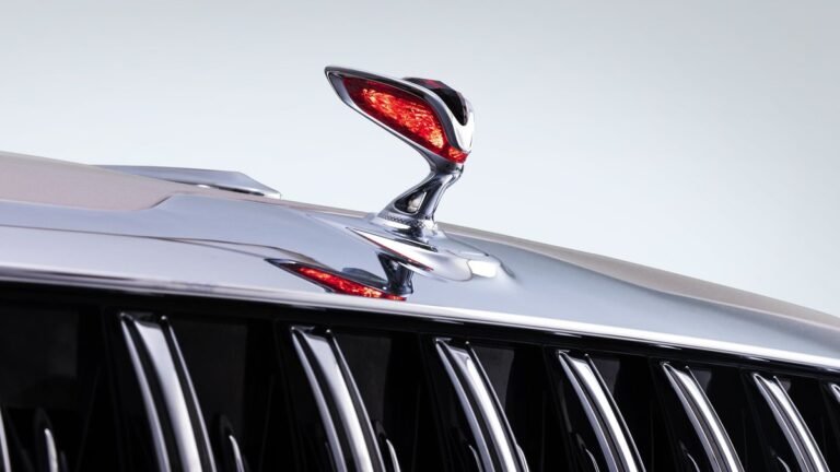 В компании Hongqi объяснили проблемы с регистрацией новых машин в РФ