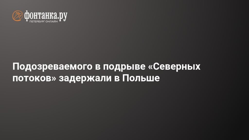 В Польше задержан подозреваемый в подрыве «Северных потоков»
