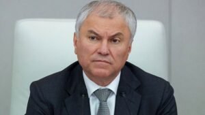 Володин: российский бизнес игнорировал призывы Путина вернуть активы