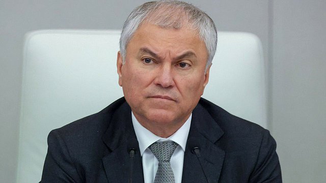 Володин: российский бизнес игнорировал призывы Путина вернуть активы