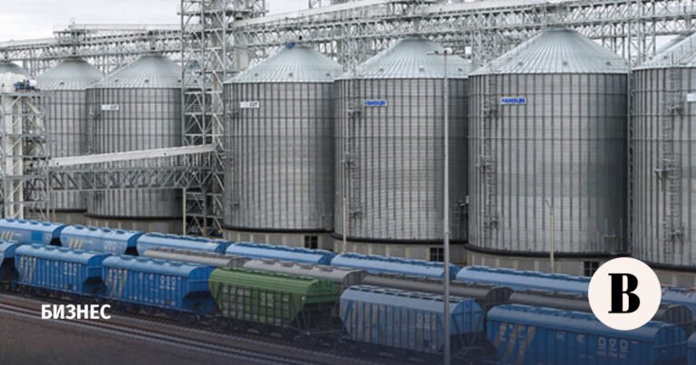 Зерно на экспорт: РЖД вводит приоритетную перевозку по железной дороге