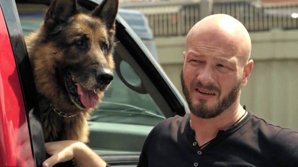 3 российских детективных сериала с собаками-героями