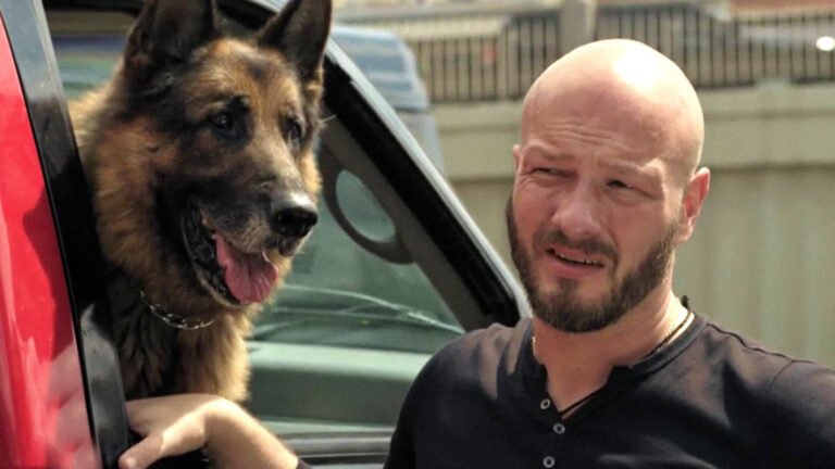 3 российских детективных сериала с собаками-героями