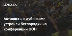 Активисты с дубинками атаковали конференцию ООН по климату
