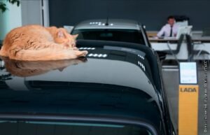 АвтоВАЗ предупредил о росте цен на Lada в 2026 году