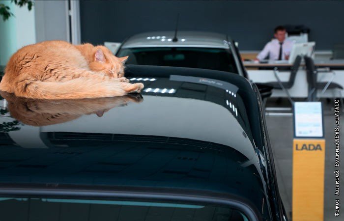 АвтоВАЗ предупредил о росте цен на Lada в 2026 году