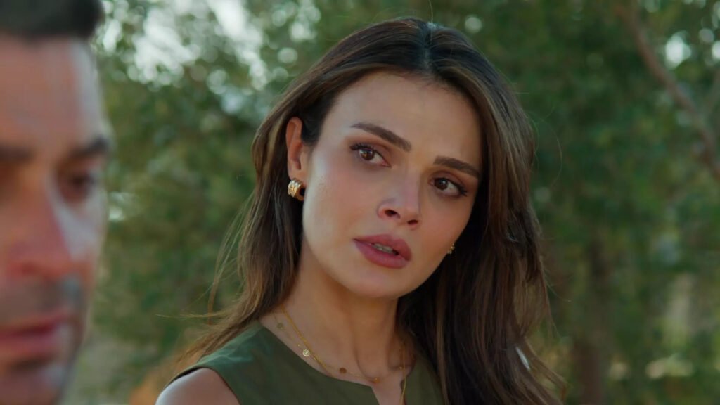 Боран вернулся: 39 серия «Далекого города»